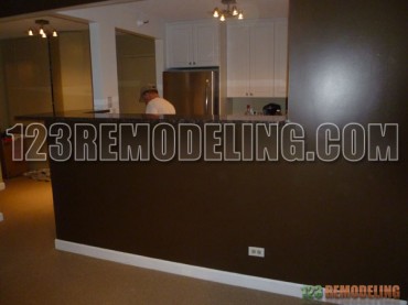 Chicago Condo Kitchen Renovation