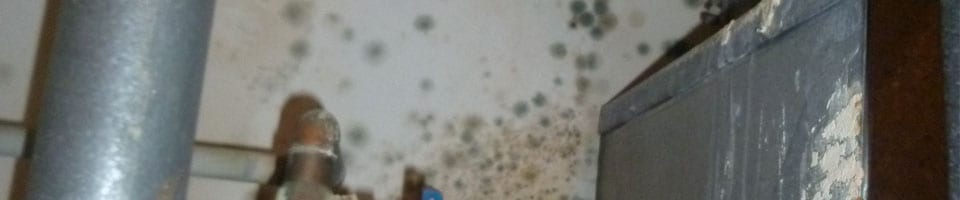 How water damage and mold affect people?